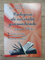 Emanuela Braslasu - Culegere de exercitii gramaticale, clasa a VI-a
