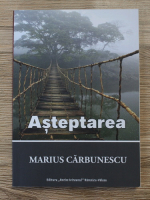 Marius Carbunescu - Asteptarea