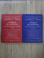 Nicolae Teodorescu - Culegere de probleme (2 volume)