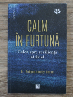 Robyne Hanley-Dafoe - Calm in furtuna. Calea spre rezilienta zi de zi