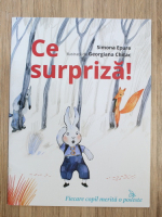 Anticariat: Simona Epure - Ce surpriza