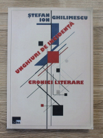 Stefan Ion Ghilimescu - Unghiuri de incidenta. Cronici literare
