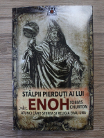 Tobias Churton - Stalpii pierduti ai lui Enoh. Atunci cand stiinta si religia erau una