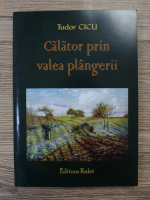 Tudor Cicu - Calator prin valea plangerii
