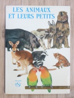 Deirdre Dillon - Les animaux et leurs petits