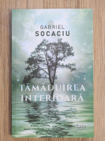 Gabriel Socaciu - Tamaduirea interioara