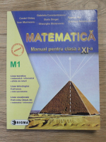 Gabriela Constantinescu - Matematica M1. Manual pentru clasa a XI-a