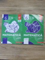 Ion Tudor - Matematica. Algebra, geometrie, clasa a VI-a (2 volume)