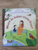 Katie Daynes - Lift the flap. First questions and answers. Where do babies come from? 