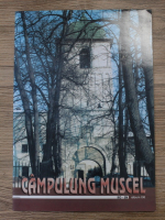 Nicolae Badiu - Campulung Muscel