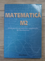 Petre Nachila - Matematica M2. Ghid pentru pregatirea examenului de bacalaureat