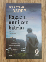 Anticariat: Sebastian Barry - Ragazul unui zeu batran