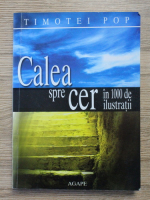 Timotei Pop - Calea spre cer in 1000 de ilustratii