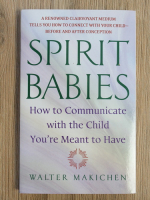 Walter Makichen - Spirit babies. How to communicate with the child you're meant to have
