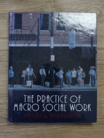 Willim G. Brueggemann - The practice of macro social work