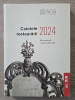 Caietele restaurarii 2024. Monumentul, in ansamblul sau