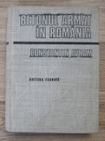 Constantin Avram - Betonul armat in Romania