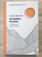 David Brooks - Al doilea munte. In cautarea sensului vietii
