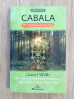 David Wells - Cabala pe intelesul tuturor