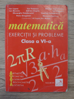 Ion Lupea - Matematica. Exercitii si probleme, clasa a VI-a