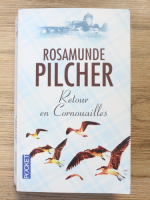 Rosamunde Pilcher - Retour en Cornouailles