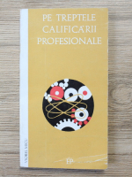 Viorel Micu - Pe treptele calificarii profesionale