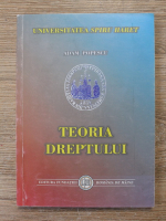 Adam Popescu - Teoria dreptului