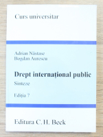Adrian Nastase - Drept international public. Sinteze (editia 7)