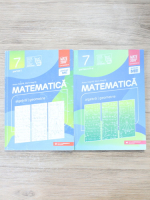Anton Negrila, Maria Negrila - Matematica. Algebra geometrie, clasa a VII-a (2 parti)