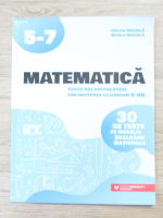 Anton Negrila, Maria Negrila - Matematica. Teste recapitulative din materia claselor V-VII
