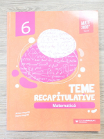 Anton Negrila, Maria Negrila - Teme recapitulative. Matematica, clasa a VI-a