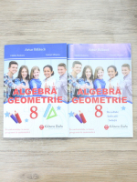 Arthur Balauca, Catalin Budeanu, Gabriel Mirsanu - Algebra geometrie, clasa a VIII-a. Mate BT (culegere si solutii)