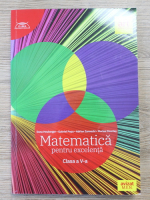 Dana Heuberger - Matematica pentru excelenta, clasa a V-a