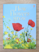 Emma Helbrough - How flowers grow