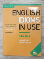 Felicity O Dell - English idioms in use. Advanced
