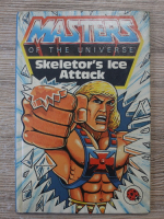 John Grant - Masters of the universe. Skeletor's ice attack
