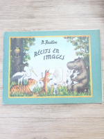 N. Radlog - Recits en images