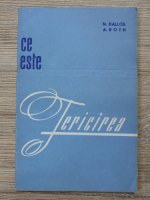 Nicolae Kallos - Ce este fericirea