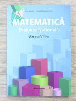 Petre Nachila, Catalin Eugen Nachila - Matematica, evaluarea nationala, clasa a VIII-a