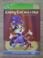 Rozanne Lanczak Williams - Casey cat has a hat