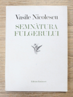 Vasile Nicolescu - Semnatura fulgerului