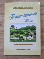Adina Simina Moldovan - Treisprezece stropi de roua