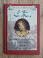 Barry Denenberg - So far from home. The diary of Mary Driscoll, an Irish Mill Girl