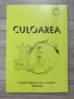 Culoarea. Colegiul National I. L. Caragiale. Seminar inter/multi disciplinar