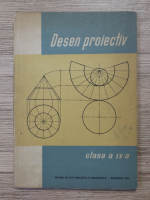 Desen proiectiv, clasa a IX-a