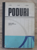 I. Alexiu, P. Radu, P. Ionescu - Poduri. Manual pentru licee de specialitate anii IV si V