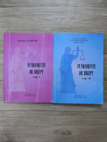 Ioan Chis - Fundamente de drept (2 volume)
