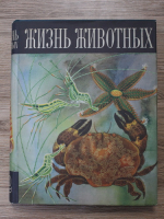 P. V. Terentiev - Viata animalelor. Nevertebrate (volumul 2)