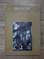 Sidney Geist - Constantin Brancusi, 1876-1957. A retrospective exhibition