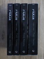 Theo Anghel - Pacatele fiului (4 volume)